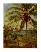 Albert Bierstadt Palm Tree, Nassau by Albert Bierstadt oil painting